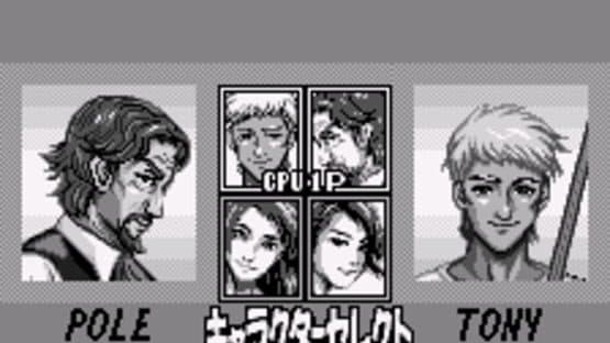 Side Pocket for WonderSwan — screenshot 6