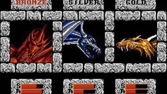 Advanced Dungeons & Dragons: DragonStrike — screenshot 2
