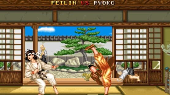 Fighter's History — screenshot 6