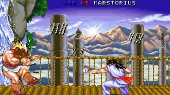 Fighter's History — screenshot 7