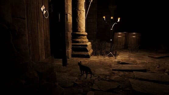 Catsploration — screenshot 3