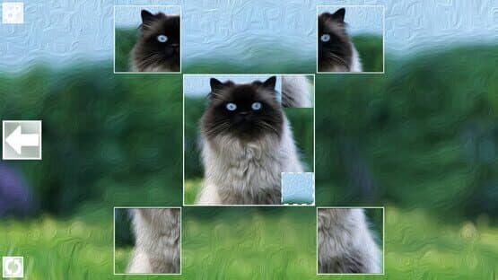 Puzzle Art: Cats — screenshot 3