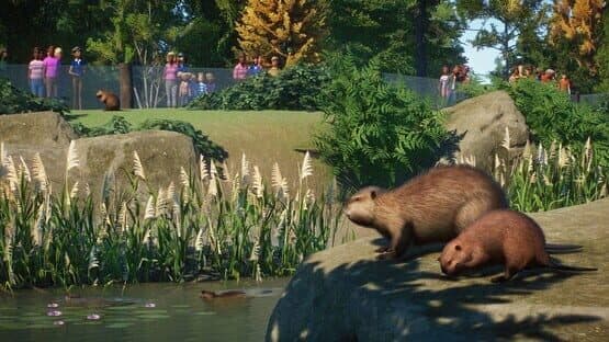 Planet Zoo: North America Animal Pack — screenshot 1