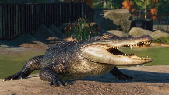 Planet Zoo: North America Animal Pack — screenshot 3