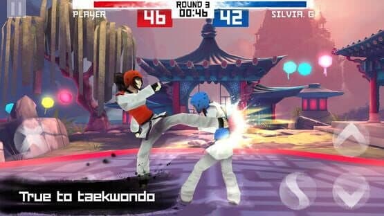 Taekwondo — screenshot 1