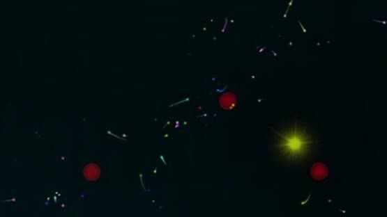 Artificial Life — screenshot 4