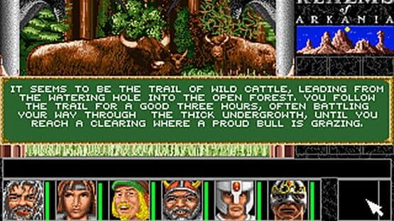 Realms of Arkania: Star Trail — screenshot 7