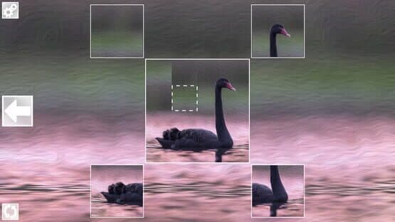 Puzzle Art: Birds — screenshot 2