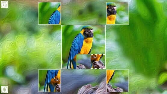 Puzzle Art: Birds — screenshot 5