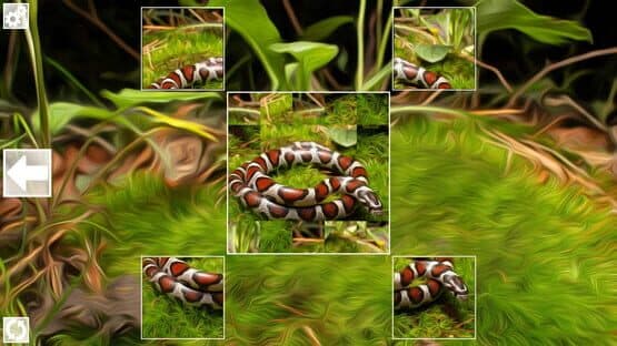 Puzzle Art: Snakes — screenshot 5