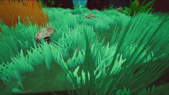 Project Canopy — screenshot 3