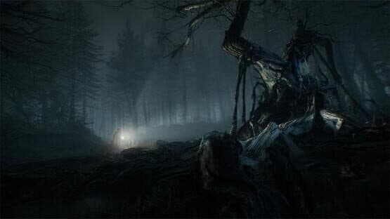 Blair Witch: Limited Edition — screenshot 2