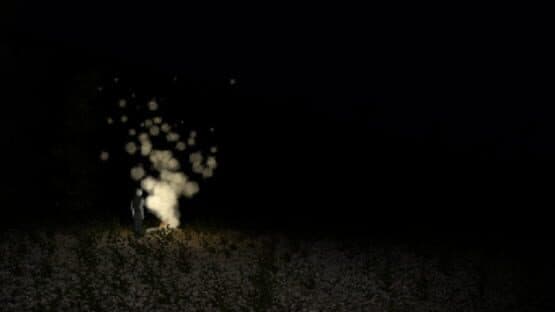 Scarecrow — screenshot 1