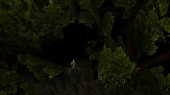 Scarecrow — screenshot 2