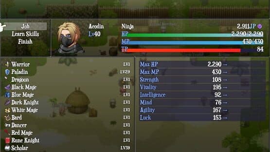 Final Fantasy XI Braver — screenshot 3