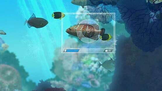 Caribbean Sea Fishes — screenshot 2