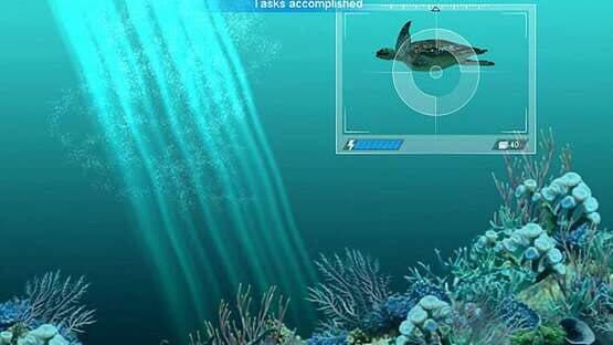 Caribbean Sea Fishes — screenshot 7