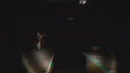Midnight Shift — screenshot 2