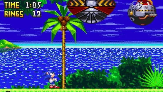 Sonic 3D in 2D — screenshot 1