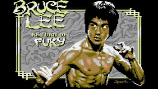Bruce Lee: Return of Fury — screenshot 1