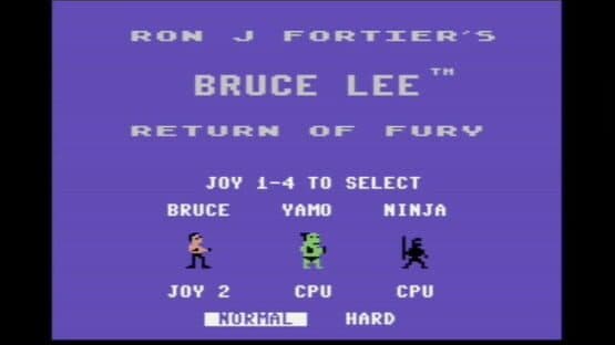 Bruce Lee: Return of Fury — screenshot 2