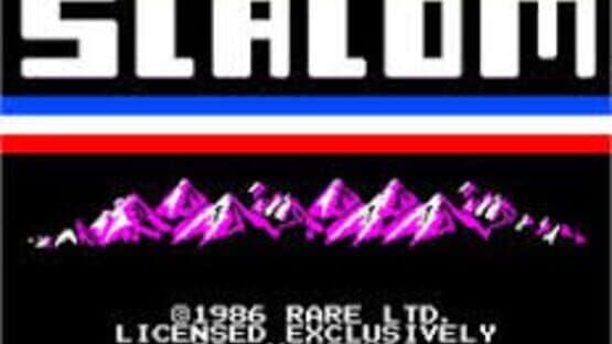 Vs. Slalom — screenshot 1