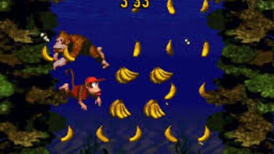 Donkey Kong Country: Competition Cartridge — screenshot 3