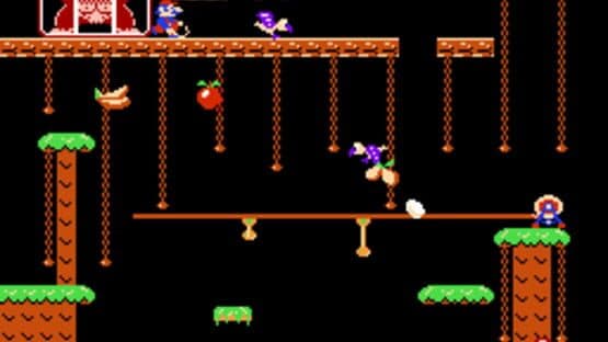Donkey Kong Jr. — screenshot 3