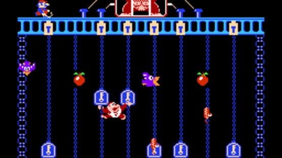 Donkey Kong Jr. — screenshot 4