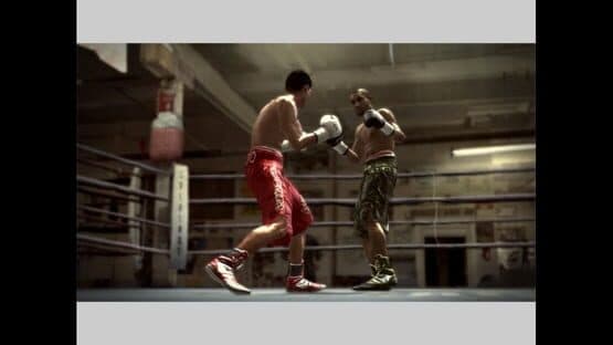 Fight Night Round 3 — screenshot 8