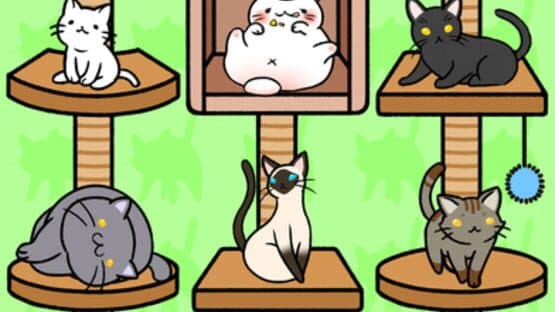 Cat Condo — screenshot 2