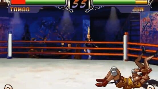 Advanced V.G. 2 — screenshot 5