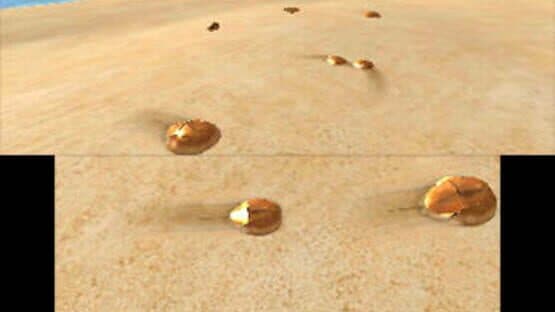 Horseshoe Crab Rescue! — screenshot 1