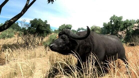 Cabela's Big Game Hunter 2010 — screenshot 2