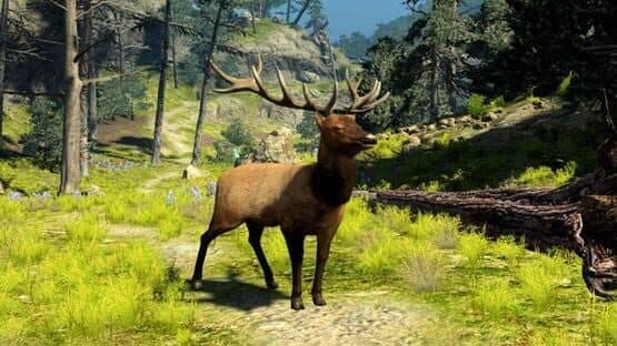 Cabela's Big Game Hunter 2010 — screenshot 3
