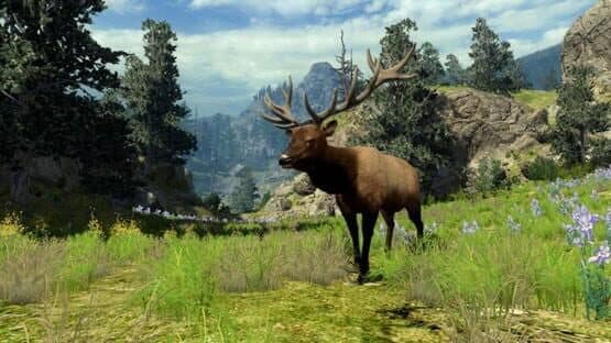 Cabela's Big Game Hunter 2010 — screenshot 4