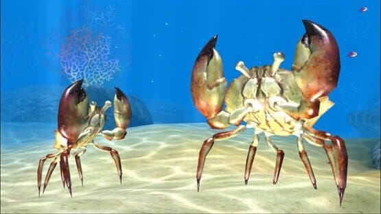 Sealife Safari — screenshot 2