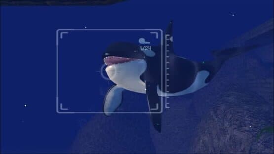 Sealife Safari — screenshot 4