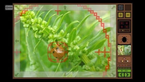 Insect Seeker — screenshot 2