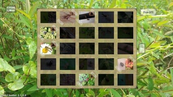 Insect Seeker — screenshot 5