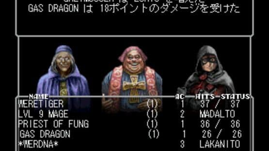 Wizardry: New Age of Llylgamyn — screenshot 3