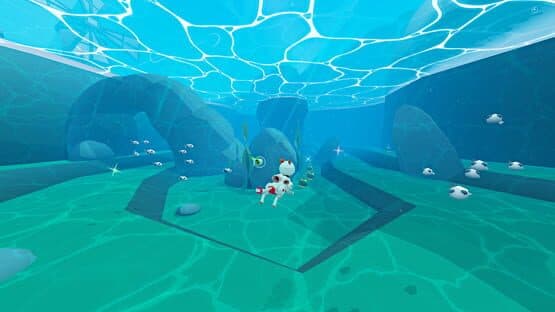 Nytro — screenshot 3