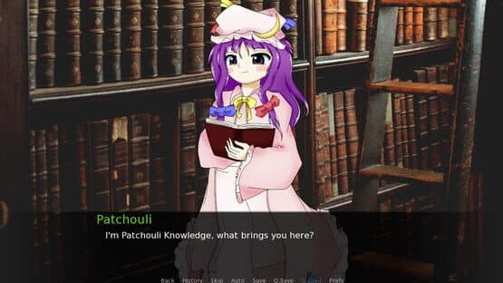 CBT With Yuuka Kazami: Getting Help With Patchouli Knowledge — screenshot 1