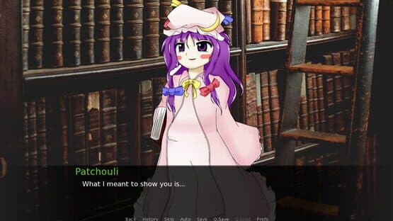 CBT With Yuuka Kazami: Getting Help With Patchouli Knowledge — screenshot 3
