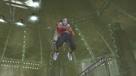 Dead or Alive 3++ — screenshot 4
