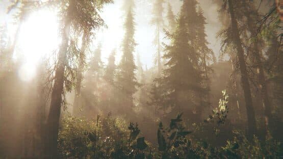 Rot: Purgatory Hill — screenshot 1