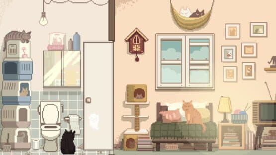 Six Cats Under — screenshot 3