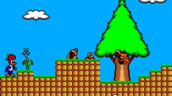 Férias frustradas do Pica-Pau — screenshot 1