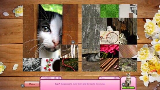 I Love Finding Cats!: Collector's Edition — screenshot 4