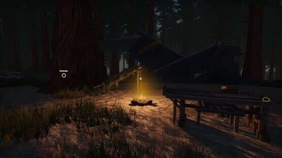 Missing Plane: Survival — screenshot 1